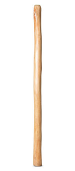 Medium Size Natural Finish Didgeridoo (TW1653)